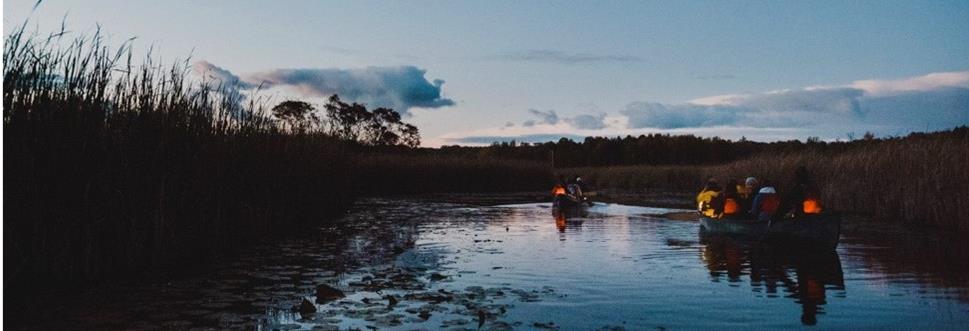 Marsh by Moonlight